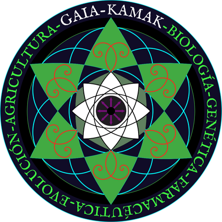 GAIA-KAMAK